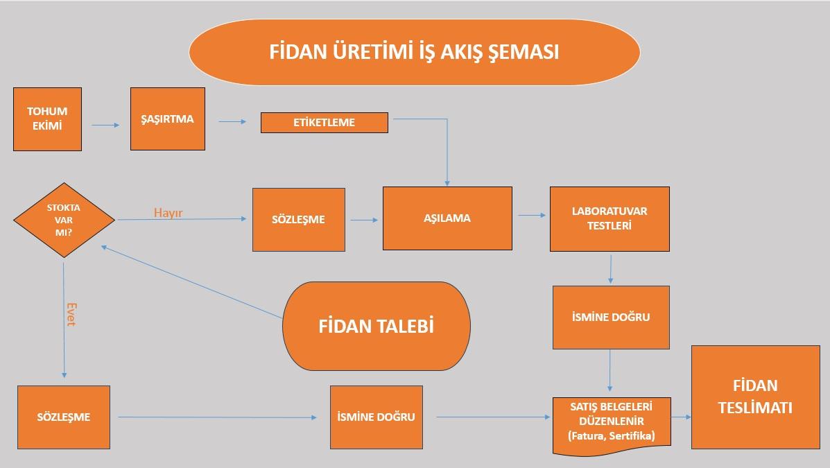 İş Akış Şeması